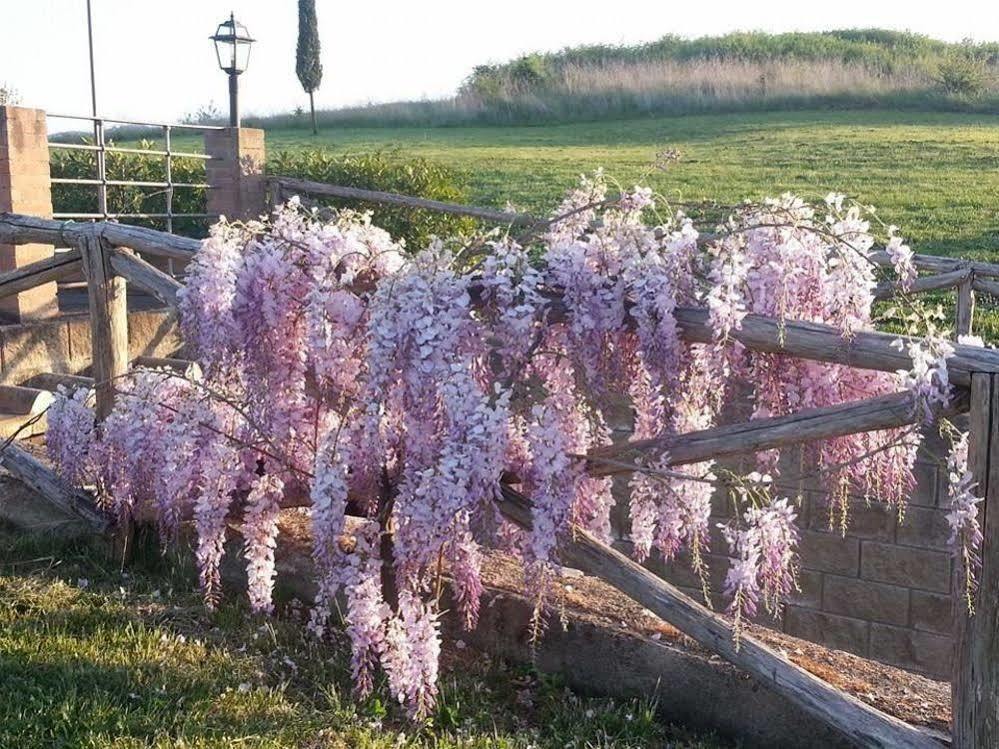 Agriturismo Ragoncino Лаятико Экстерьер фото